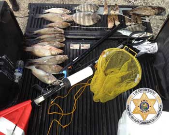 pickup truck with confiscated fish and lobsters from Monroe County