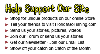 Ways to support our website