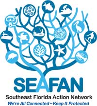 Seafan logo, big blue branching tree drawing
