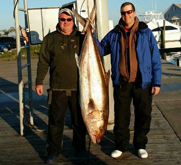 2 men standing beside a 120 pound amberjack that is suspended from a crane