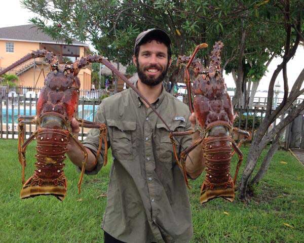 Man holding 2 huge spiny lobsters caught during the 2014 Lobster Mini Season