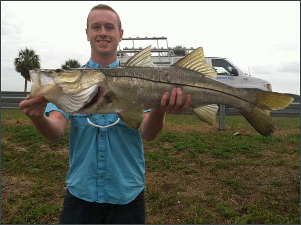 man holding a huge snook fish