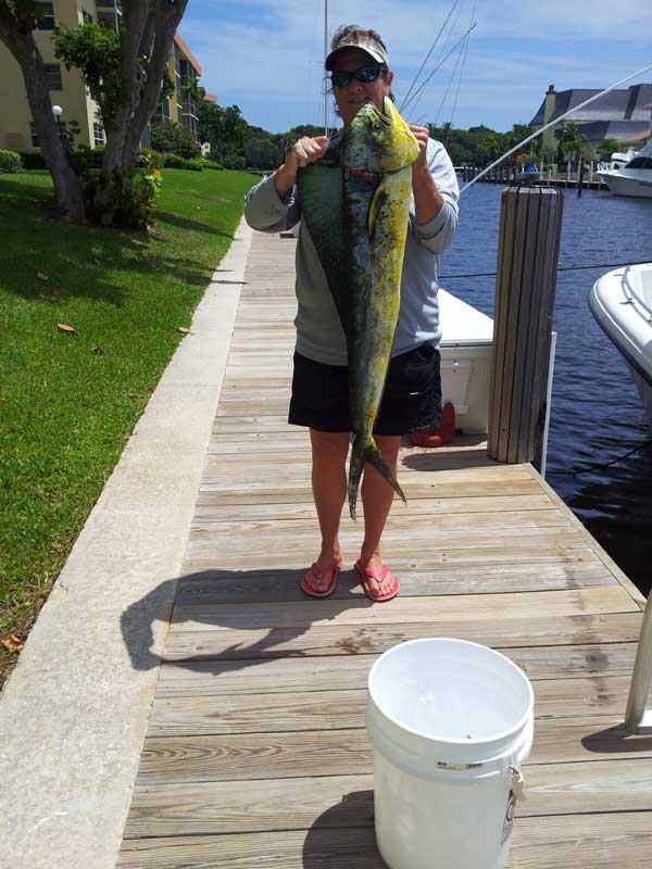 girl holding up a large mahi mahi dolphin fish on a dock