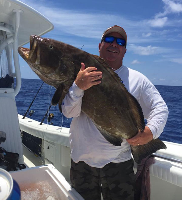 man holding a 50 pound black grouper on a boat in Naples