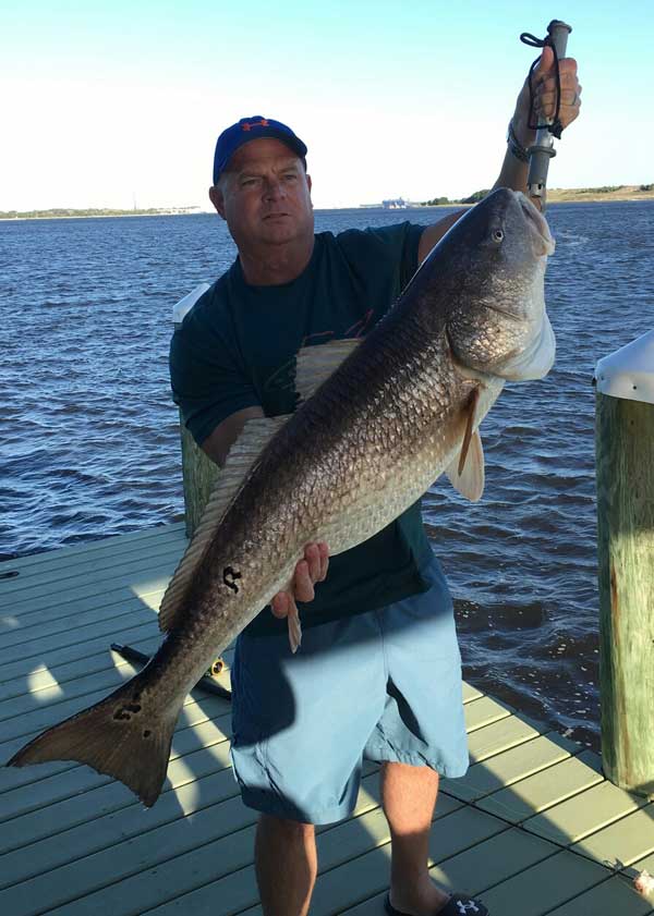 man holding a huge bull redfish on a dock
