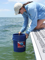 Click Image to Buy reef scope underwater viewing bucket