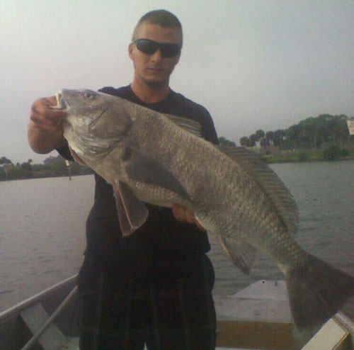 man on a boat with sun glasses holding a big black drum fish