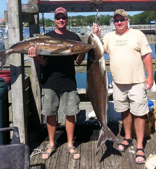 Two men showing off their cobia, one is so big it is stug up