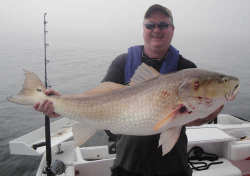 Man holding a huge redfish on a boat