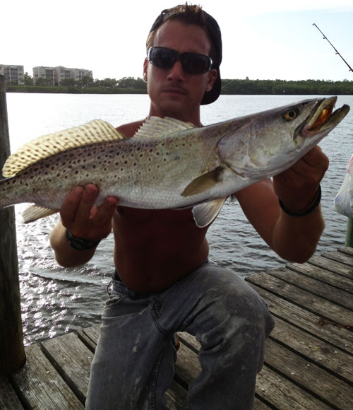 Man holds huge Sea Trout on a dock