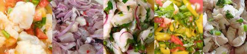 Many images of prepared Ceviche
