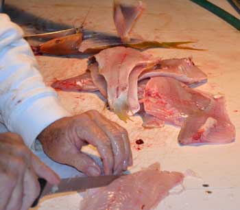 Filleting and skinning snapper