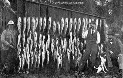 men with a lot of fish on a board and a dog