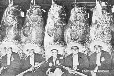 Men with straw hats and spear guns in front of huge groupers hanging