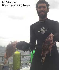 diver holding 2 large lionfish