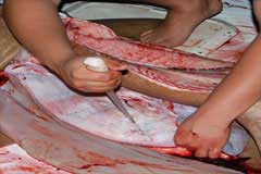 Knife in kids hand ready to cut the stomach