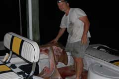 Carcass on the back on boat