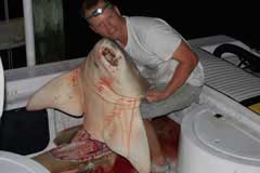 Angler smiling over shark