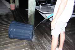 Washing trash barrel used to weigh the shark
