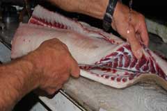 Closeup of shark fillet being sliced into