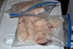 Fillets of shark in zip lock bags