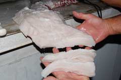Shark fillets showing how big