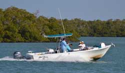 boat motoring near mangroves in 10,000 Islands