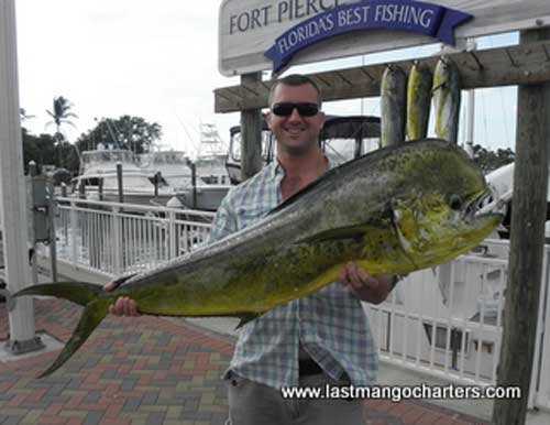 36 lb Dolphin caught off Fort Pierce
