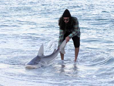 man holding a sandbar shark by the tail in the surf, releasing it on St Petersburg beach