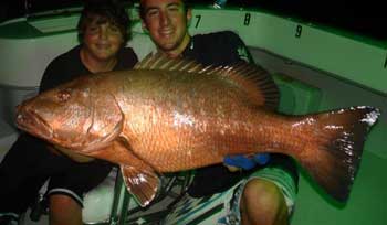 Huge Cubera Snapper held by young man and boy