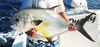 Huge Permit held by a man