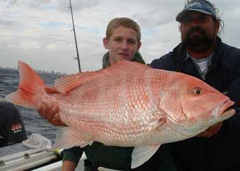 Huge red snapper held by boy