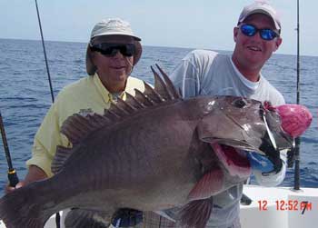 Man holding a huge Warsaw grouper