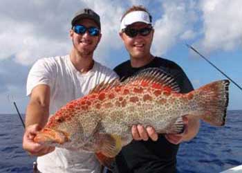 Men holding red speckled grouper