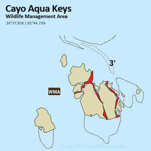 Cayo Aqua Keys