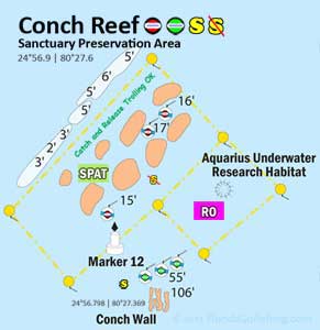Conch Reef diagram