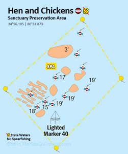 Hen and Chickens reef diagram