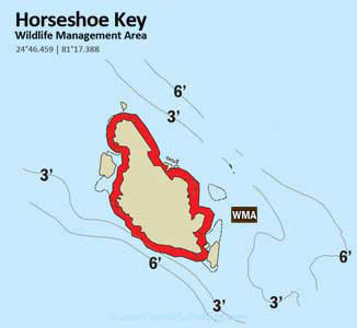 Horseshoe Key