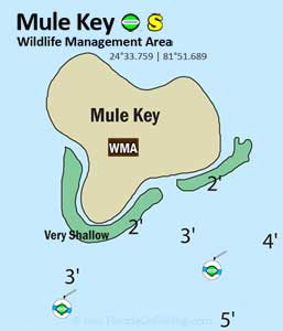 Mule Key reef diagram