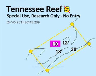 Tennessee Reef diagram