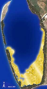 Chart of Gulf County Scallop Beds