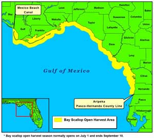 Chart showing areas to scallop in NW Florida