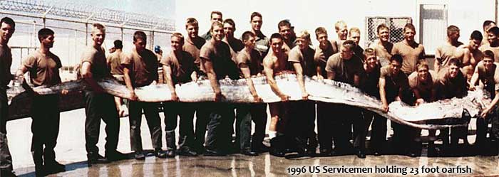 navy men holding a 23 foot long oar fish