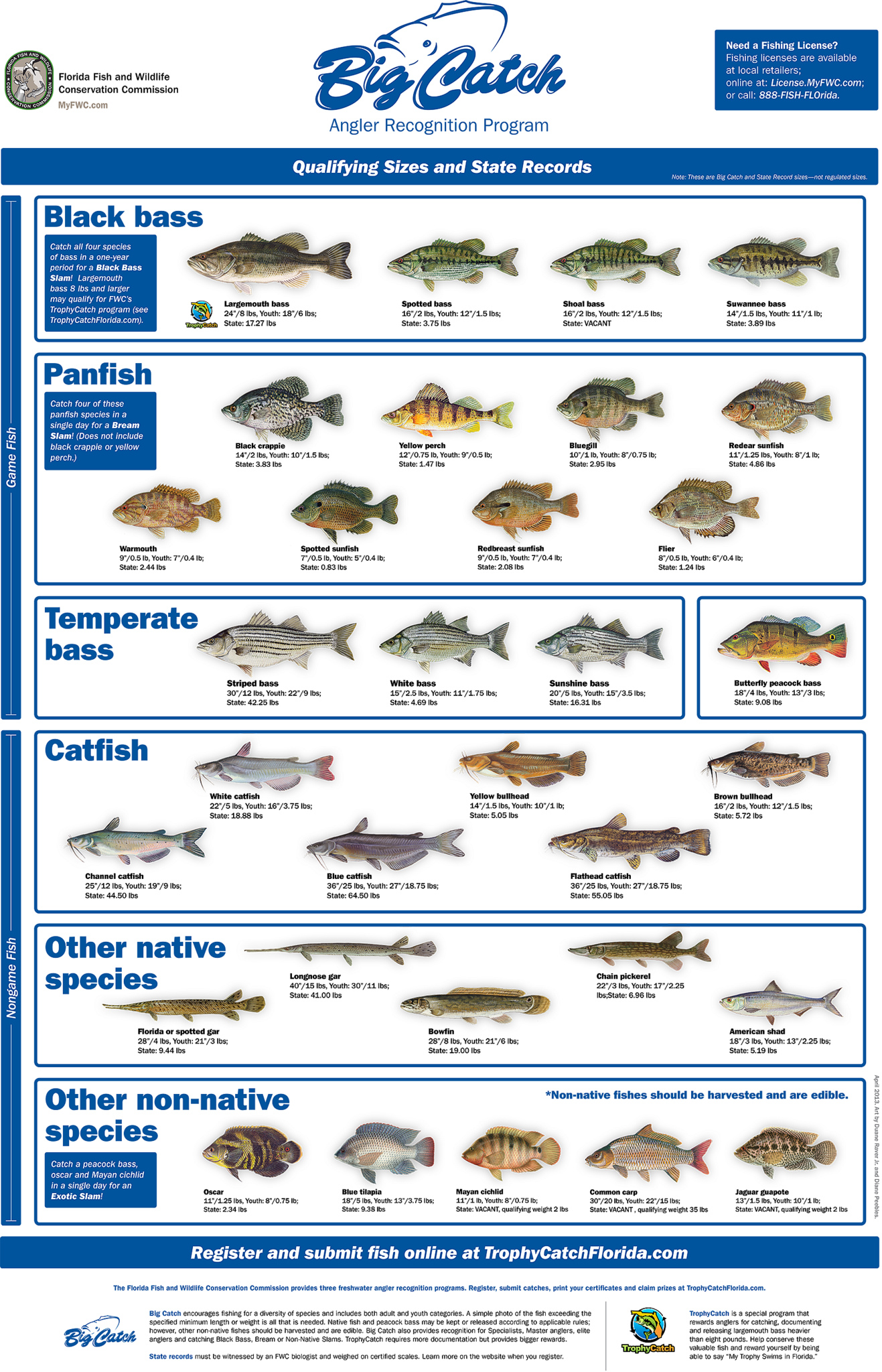 Trophy Catch! Angler Recognition Programs - Florida Go Fishing
