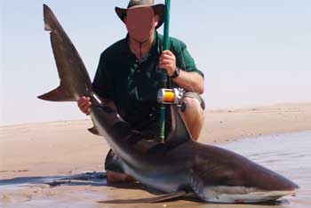 narrowtooth shark on the beach with angler holding up tail