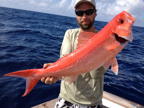 Man holding a pink colored  Queen snapper on a boat