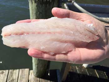 man holding a threadfin fillet