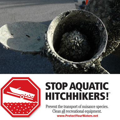Stop Hitchhikers warning with picture of zebra muscles