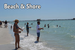 People walking on a beach
