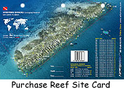 Western Sambo reef site images in satellite view showing mooring buoys